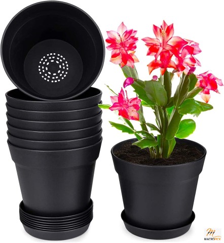 Set of 8 Pots for Plants Made of Fine Plastic with Tray and Many Drain Holes | Suitable for Home Garden