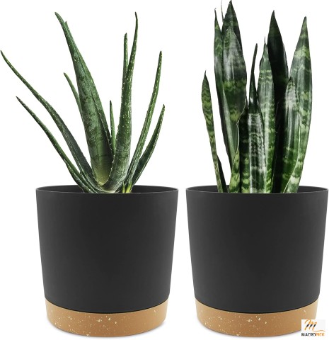 Set of 2 Plant Pots, 8 Inch, with Drainage Holes and Removable Saucer - Modern Dark Grey Decorative Planters for Indoor/Outdoor