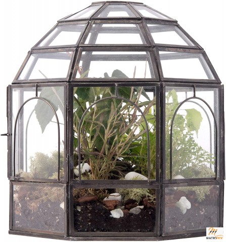 Handmade Large Glass Terrarium: Birdcage Design - 10" x 9" x 9" (Black)