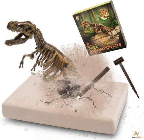 Dinosaur Digging Fossil Kit Model Toy - Educational Toys For kids