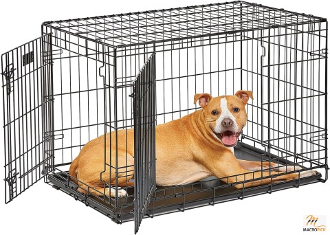 36 inch Double Door Dog Crate - Foldable Metal Dog Crate - Durable & Strong Crate For Dogs