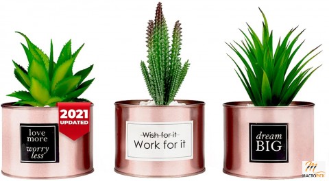 Artificial Plant Cactus Succulent Office Decor for Women's Desk