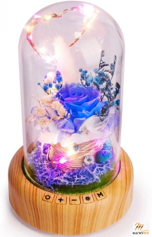 Forever Flower Night Light with Bluetooth Speaker,Rose Lamp | Real Preserved Rose in Glass Dome