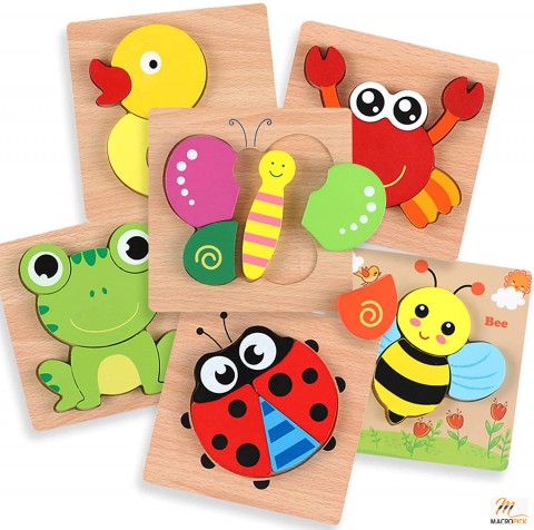 Set of 6 Brain Building Peg Puzzles