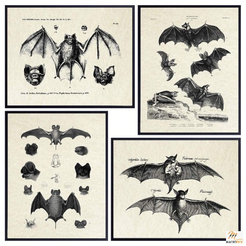 Bats Wall Decor - Unique Wall Art Decoration -  Vintage Retro Hipster Goth Art - 8x10