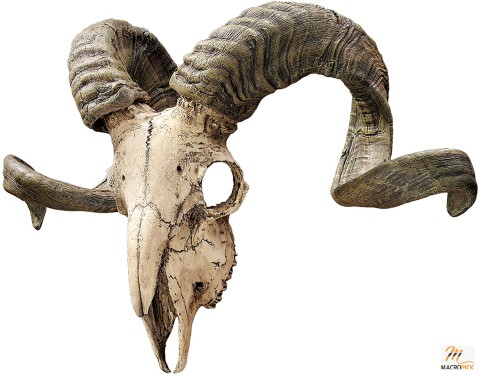 Corsican Ram Skull and Horns Wall Sculpture Faux Taxidermy Animal - 18 Inch