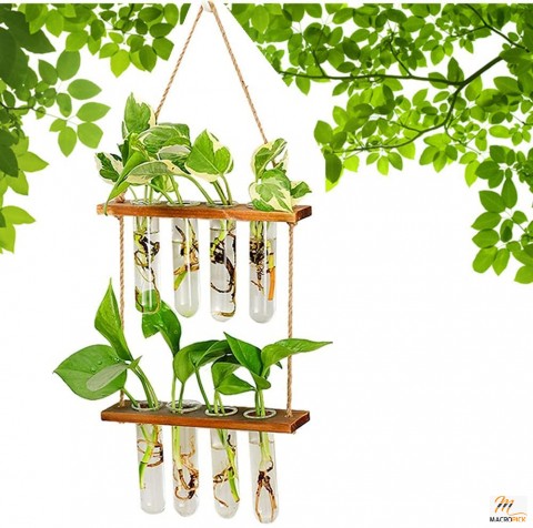 Wall Hanging Planter - 2 Tiered Plant Propagation Stations Plant Terrarium with Wooden Stand - Glass Planter Test Tube Vase