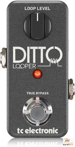 TC Electronic DITTO LOOPER Highly Intuitive Looper Pedal with 5 Minutes of Looping Time