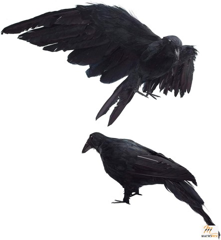 2-Pack Realistic Crows Life-size Extra Large Handmade Black Feathered Crow for Halloween Decorations - (13 inch+12 inch)