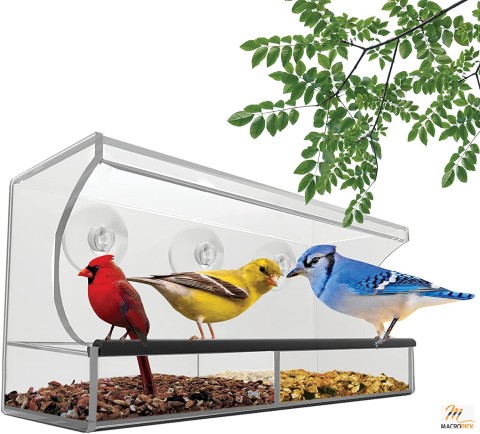 Bird Feeder - Clear Window Bird Feeders with Strong Suction Cups