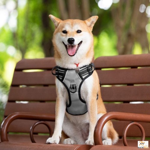 PoyPet Reflective No Pull Dog Harness with 4 Snap Buckles-Grey